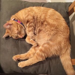 Meet your Posher, Duan